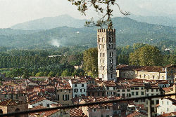 lucca