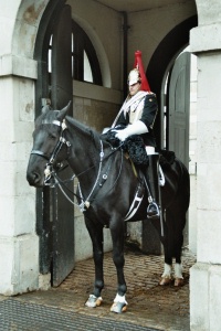 Reiterwache reiterwache